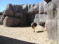 zoo 048